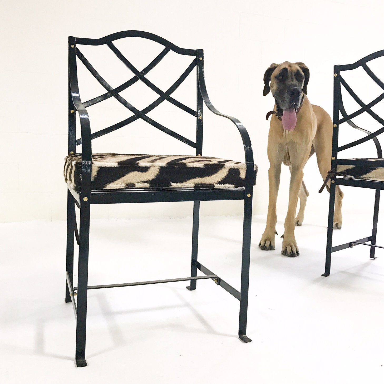 Iron Garden Dining Chairs Painted Farrow & Ball Blue Black with Zebra Hide Cushions - Set of 4