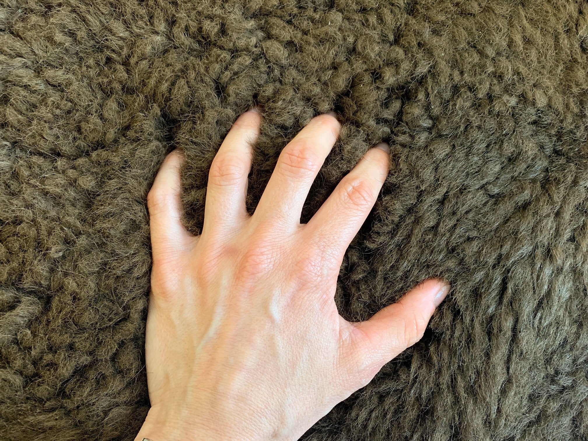 NORTH AMERICAN BISON HIDE RUG