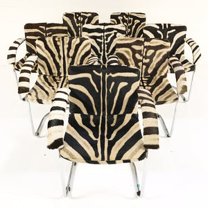 Giovanni Offredi for Saporiti Italia Lens Dining Chairs in Zebra Hide - Set of 8