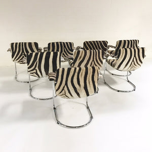 Giovanni Offredi for Saporiti Italia Lens Dining Chairs in Zebra Hide - Set of 8