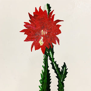 John O'Hara. Botanical, 5. 37x37"
