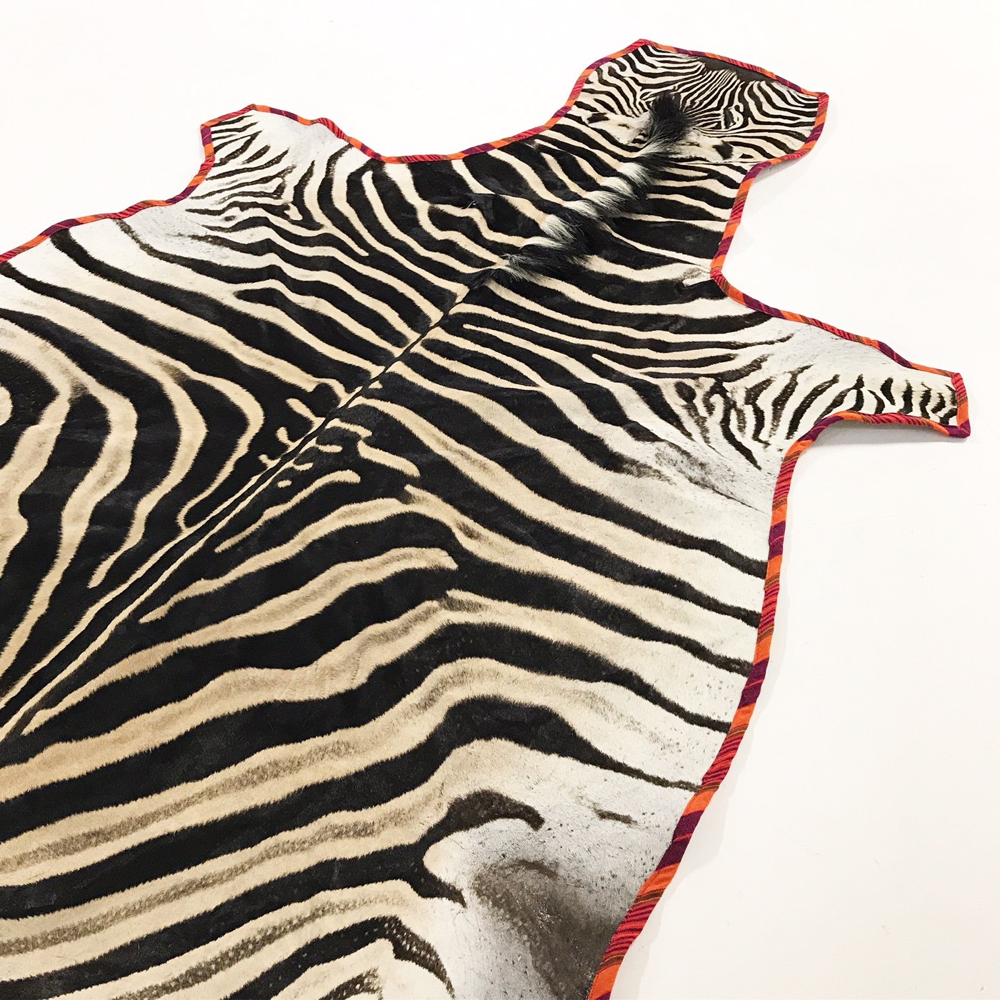 Zebra Hide Rug Trimmed in Maasai Shuka