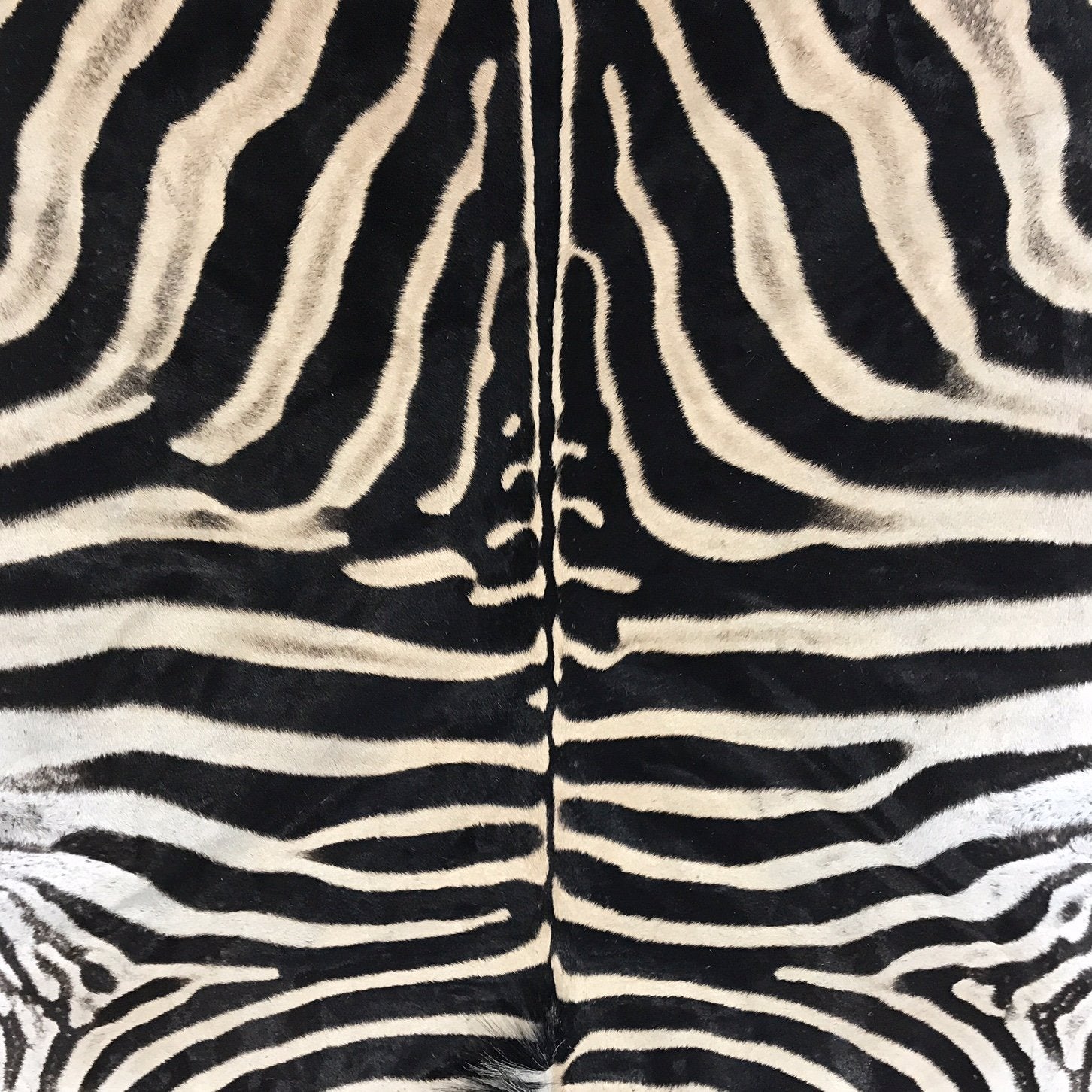 Zebra Hide Rug Trimmed in Maasai Shuka