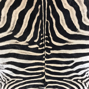 Zebra Hide Rug Trimmed in Maasai Shuka