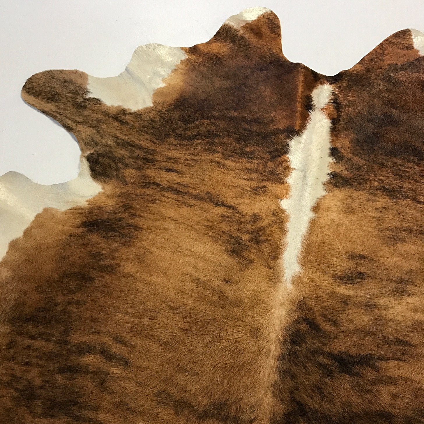 BRINDLE COWHIDE RUG - TIFT