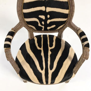 Louis XVI Armchair Reupholstered in Zebra Hide