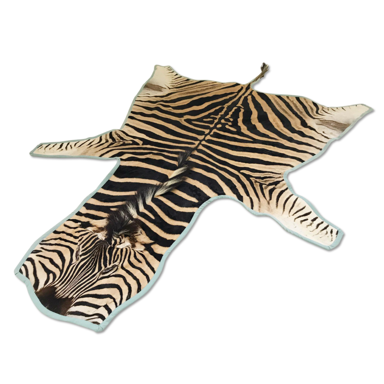 Zebra Hide Rug Trimmed in Blue Cotton Linen