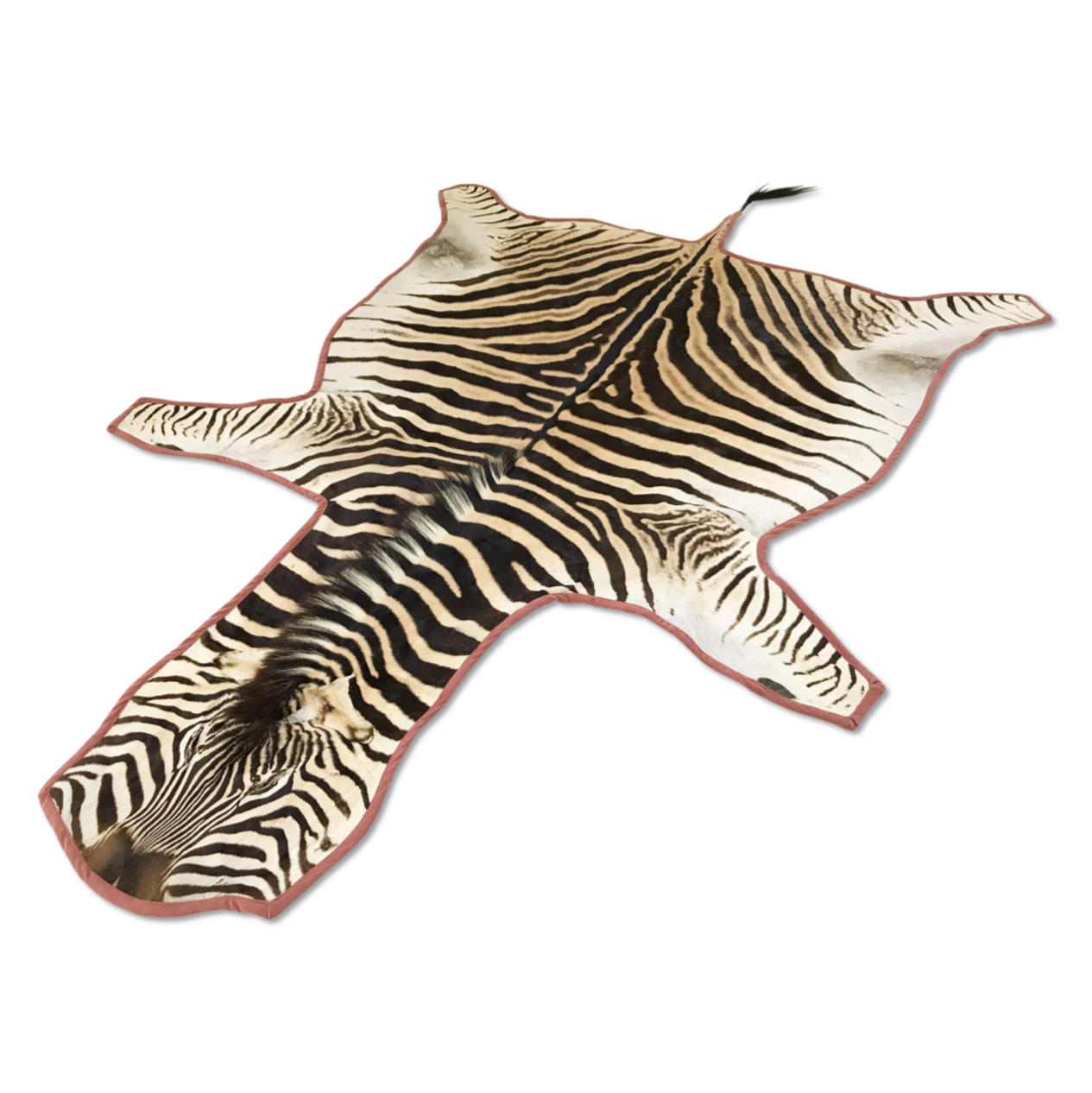 Zebra Hide Rug Trimmed in Blush Pink Velvet