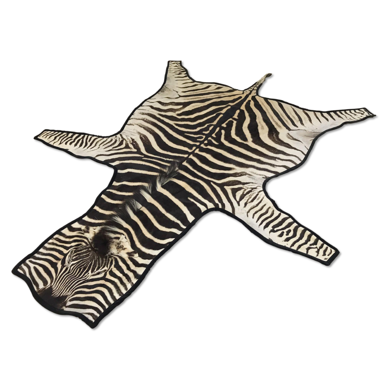 Zebra Hide Rug Trimmed in Black Velvet