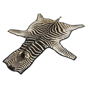 Zebra Hide Rug Trimmed in Black Velvet