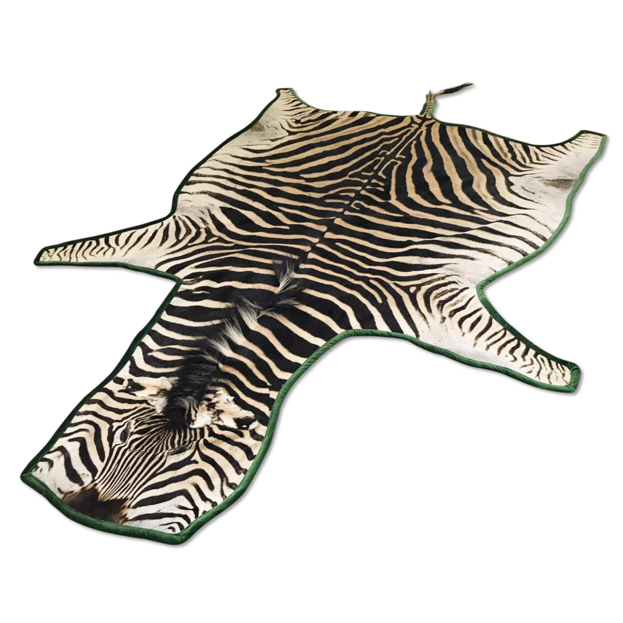 Zebra Hide Rug Trimmed in Schumacher's Emerald Green Silk Velvet