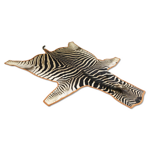 Zebra Hide Rug Trimmed in Burnt Orange Velvet