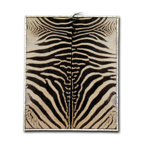 Sterling Silver Framed Zebra Hide 46x56"