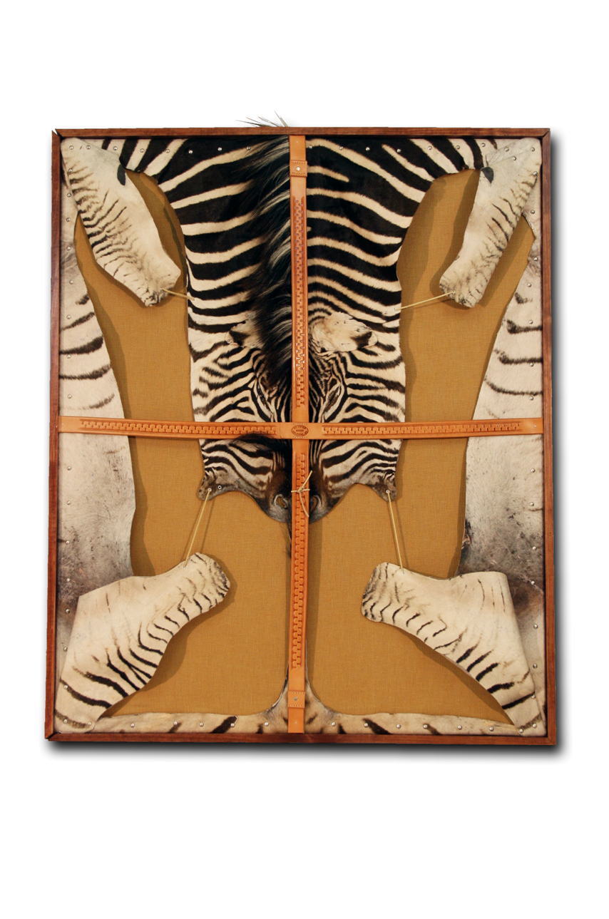 Sterling Silver Framed Zebra Hide 46x56"