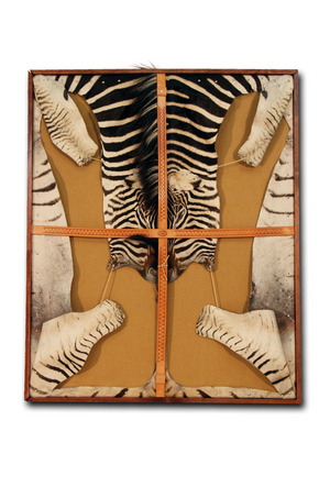 Sterling Silver Framed Zebra Hide 46x56"