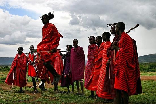 Zebra Hide Rug Trimmed in Maasai Shuka