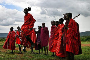Zebra Hide Rug Trimmed in Maasai Shuka