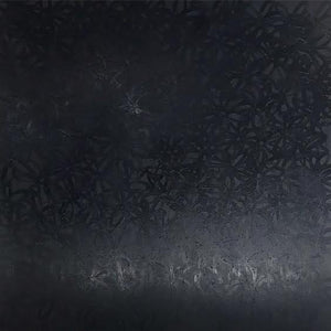 John O'Hara. Daisies, Black on Black. 69x69"